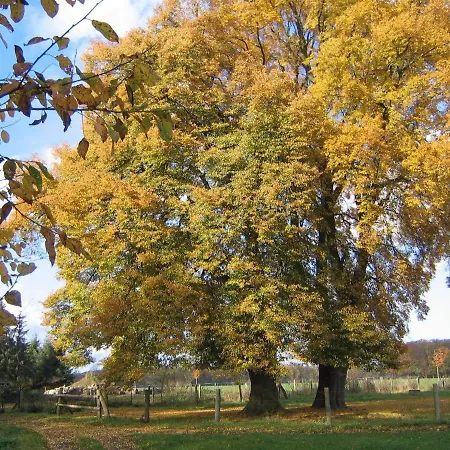 In Mit Garten Und Terrasse 公寓 *