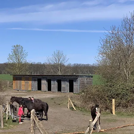 In Mit Garten Und Terrasse 아파트 Semlow