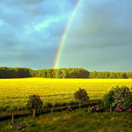 In Mit Garten Und Terrasse 아파트