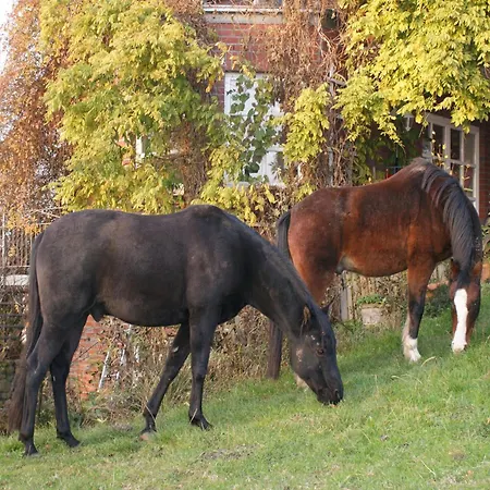 Cosy In Germany With Garden 아파트 Semlow