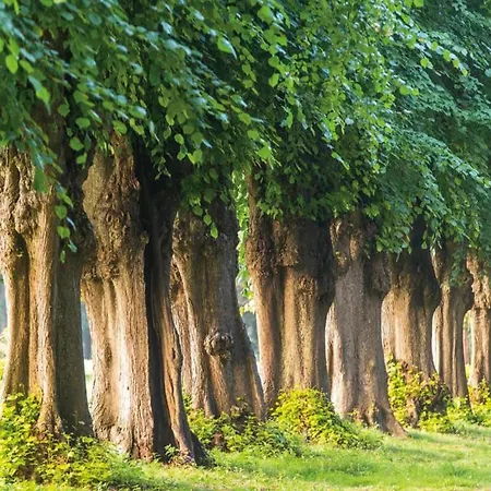 아파트 In Mit Garten Und Terrasse