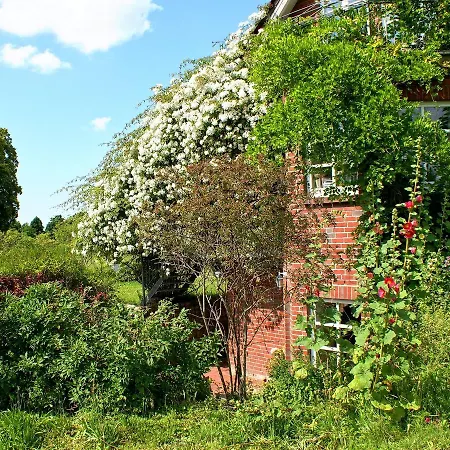 아파트 In Mit Garten Und Terrasse Semlow