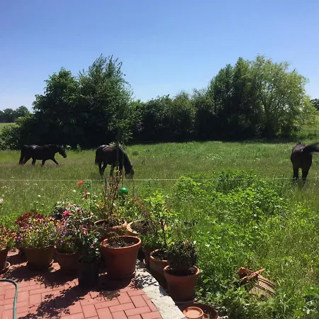 In Mit Garten Und Terrasse Semlow