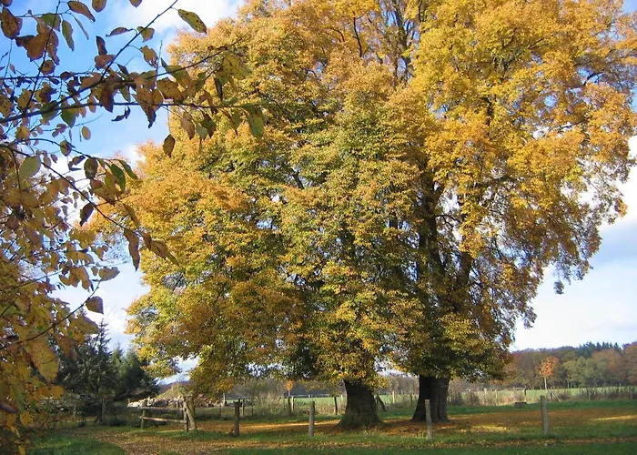 In Mit Garten Und Terrasse Apartmán *