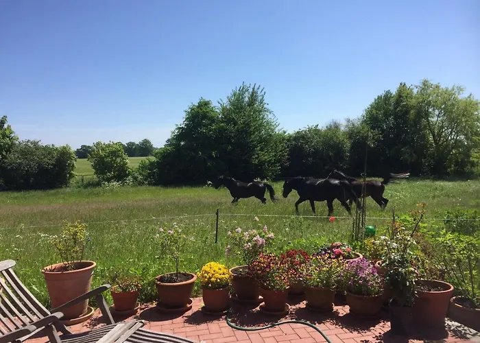In Mit Garten Und Terrasse Semlow