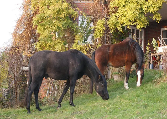 In Mit Garten Und Terrasse Apartmán Semlow