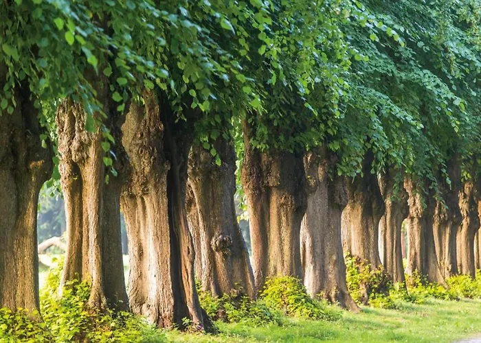 Apartmán In Mit Garten Und Terrasse