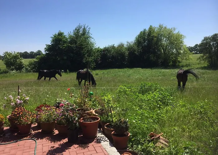In Mit Garten Und Terrasse Semlow